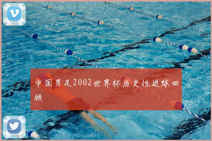 中国男足2002世界杯历史性进球回顾