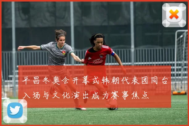 平昌冬奥会开幕式韩朝代表团同台入场与文化演出成为赛事焦点
