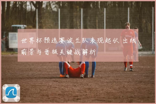 世界杯预选赛波兰队表现起伏 出线前景与晋级关键战解析